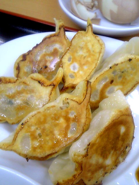 金石餃子6